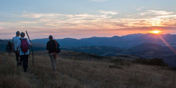 Let yourself be guided you in Le Marche! (Guided Tours for Groups)